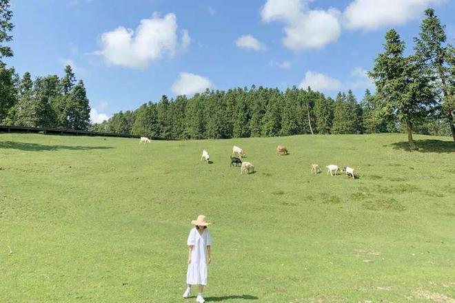 佳路线初次来仙女山你真的要点进来必一重庆仙女山自由行旅游攻略最